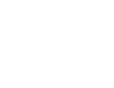 World Islamic Economic Development